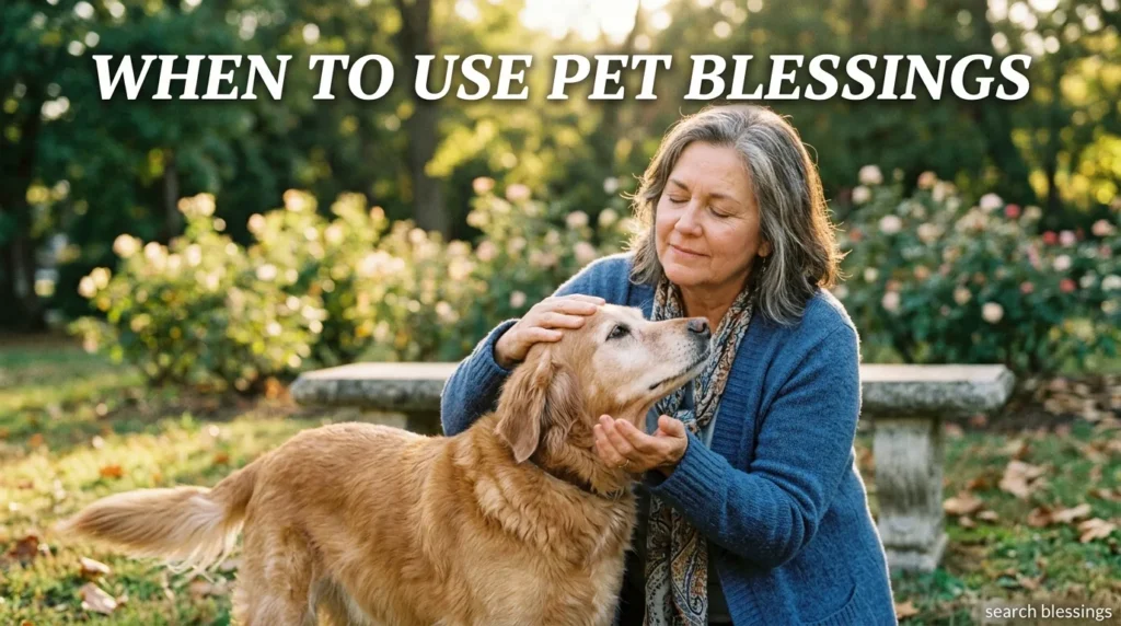 When to Use Pet Blessings